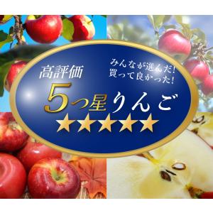 2026年10月予約 【光センサー選果保証】 ...の詳細画像3