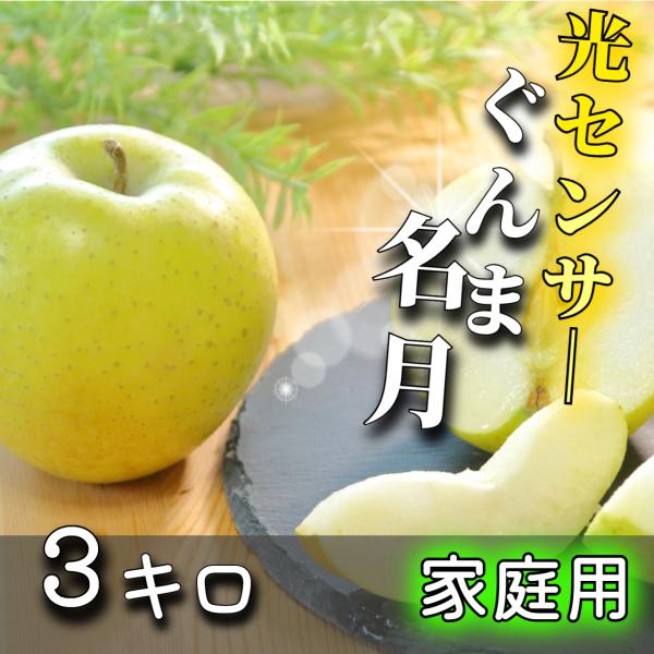 【光センサー選果保証】 高糖度 青森県産 りんご ぐんま名月 ぐんま 名月 蜜入り 家庭用 訳あり ...