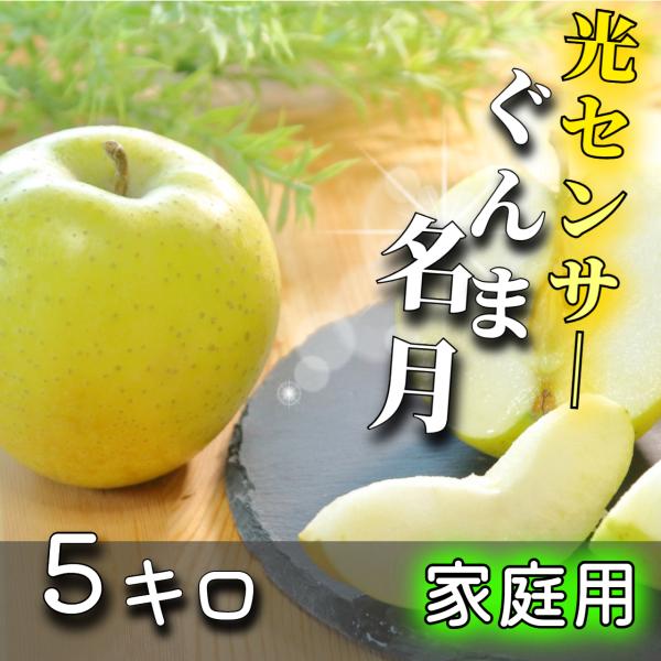 【光センサー選果保証】 高糖度 青森県産 りんご ぐんま名月 ぐんま 名月 蜜入り 家庭用 訳あり ...