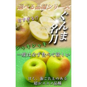 2026年10月予約 【光センサー選果保証】 ...の詳細画像1