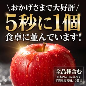 【光センサー選果保証】 高糖度 青森県産 りん...の詳細画像1