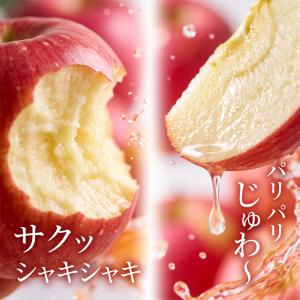 【光センサー選果保証】 高糖度 青森県産 りん...の詳細画像2