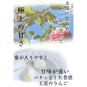 【光センサー選果保証】 高糖度 青森県産 りん...の詳細画像3
