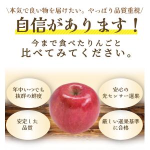 【光センサー選果保証】 高糖度 青森県産 りん...の詳細画像5