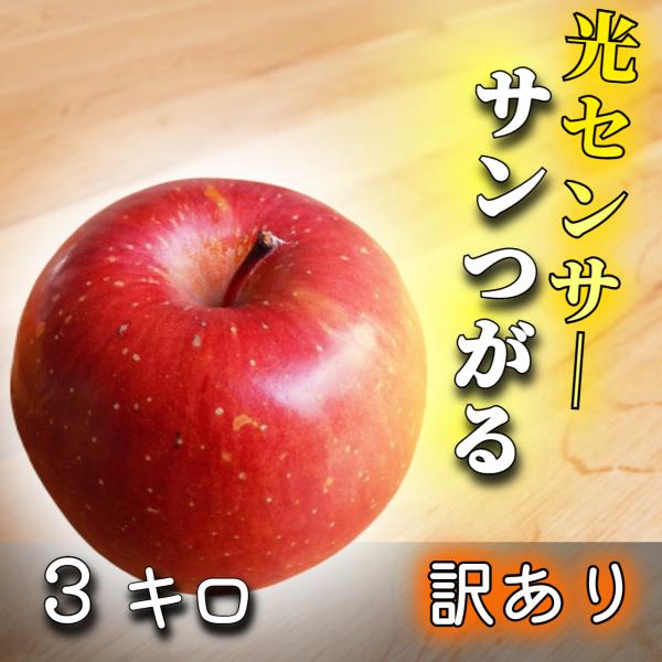 【光センサー選果保証】 高糖度 青森県産 りんご サン つがる サンふじ  訳あり ふじ 3kg 3...