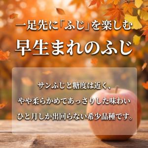 【光センサー選果保証】 高糖度 青森県産 りん...の詳細画像2