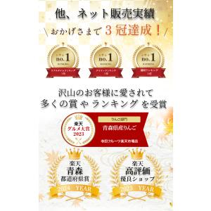 【光センサー選果保証】 高糖度 青森県産 りん...の詳細画像4