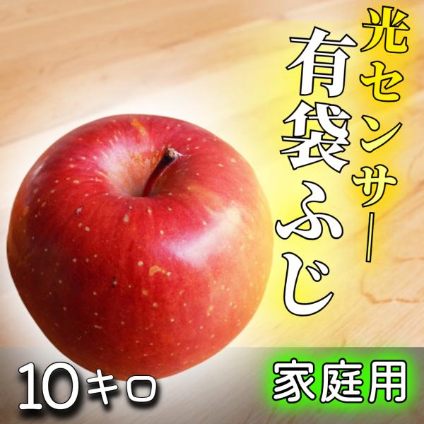 【光センサー選果保証】 高糖度 青森県産 りんご 蜜 有袋ふじ  家庭用 ふじ 訳あり 10kg 1...