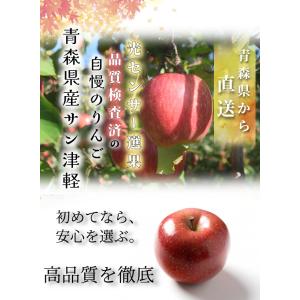 【光センサー選果保証】 高糖度 青森県産 りん...の詳細画像1
