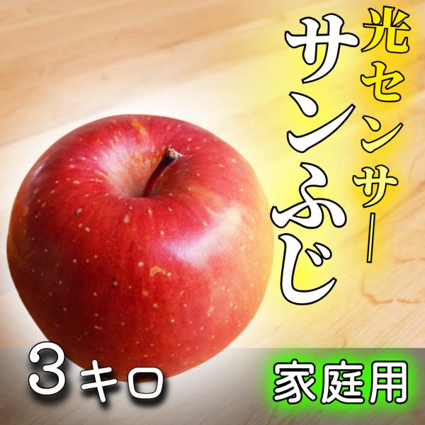 【光センサー選果保証】 高糖度 青森県産 りんご 蜜 サンふじ 家庭用 ふじ 訳あり 3kg 3キロ...