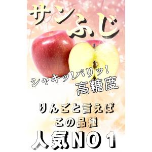 【光センサー選果保証】 高糖度 青森県産 りん...の詳細画像2