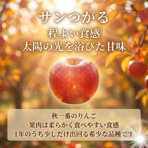 【光センサー選果保証】 高糖度 青森県産 りん...の詳細画像2