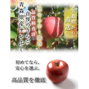 【光センサー選果保証】 高糖度 青森県産 りん...の詳細画像1
