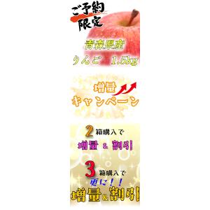 【光センサー選果保証】 高糖度 青森県産 りん...の詳細画像3
