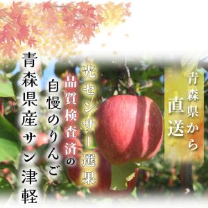 【光センサー選果保証】 高糖度 青森県産 りん...の詳細画像2