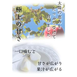【光センサー選果保証】 高糖度 青森県産 りん...の詳細画像4
