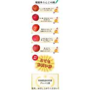 【光センサー選果保証】 高糖度 青森県産 りん...の詳細画像5