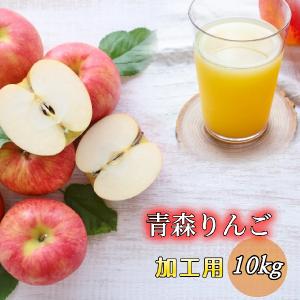 【9月予約】光センサー選果　青森県産　りんご　10キロ　加工用　10kg 送料無料