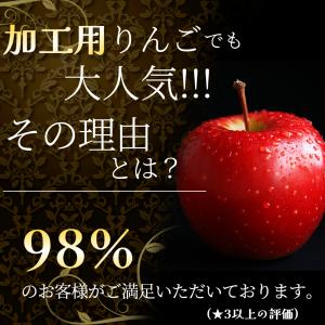 【9月予約】光センサー選果 青森県産 りんご ...の詳細画像1