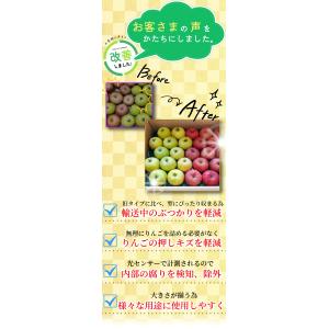 【9月予約】光センサー選果 青森県産 りんご ...の詳細画像3