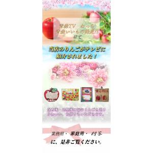 【9月予約】光センサー選果 青森県産 りんご ...の詳細画像4
