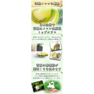 【2026年発送予約】 赤肉メロン 2玉 【秀...の詳細画像3