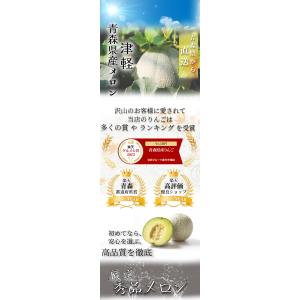 【2026年発送予約】 青肉メロン 4~6玉 ...の詳細画像1