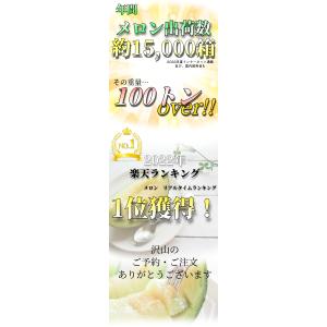 【2026年発送予約】 青肉メロン 4~6玉 ...の詳細画像2