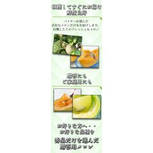 【2026年発送予約】 青肉メロン 4~6玉 ...の詳細画像4