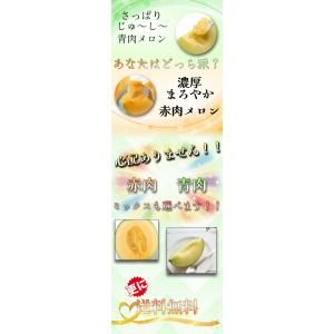 【2026年発送予約】 青肉メロン 4~6玉 ...の詳細画像5