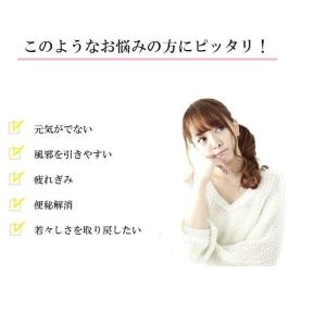 熟成黒にんにく 青森県産 こだわり黒ニンニク ...の詳細画像5