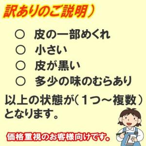 本格熟成 黒にんにく バラ 訳あり 100グラ...の詳細画像1