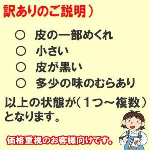 本格熟成 黒にんにく バラ 500g 訳あり ...の詳細画像1