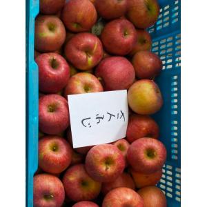 ふじりんご  約3kg 青森県産  りんご