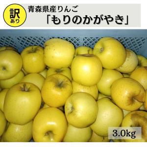 りんご  訳あり もりのかがやき 青森県産 3.0kg 送料無料