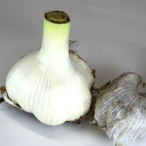 青森県産 令和7年度産 サイズ混合 にんにく ...の詳細画像3