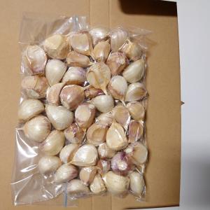 にんにく 青森にんにく直売所 500ぐらむ 青...の詳細画像1