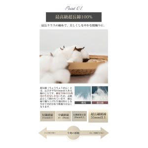 ボックスシーツ 最高級超長綿 綿100% マッ...の詳細画像5
