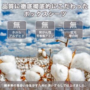 ボックスシーツ シングル 綿100% 100×...の詳細画像3