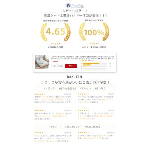 除湿敷きパッド 置くだけ簡単 珪藻土粒 備長炭...の詳細画像2