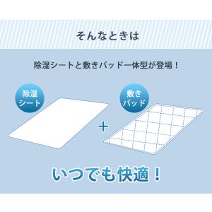 除湿敷きパッド 置くだけ簡単 珪藻土粒 備長炭...の詳細画像3