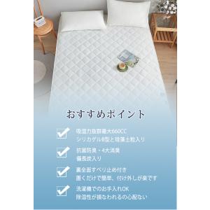 除湿敷きパッド 置くだけ簡単 珪藻土粒 備長炭...の詳細画像4
