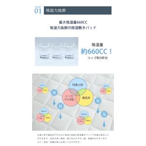 除湿敷きパッド 置くだけ簡単 珪藻土粒 備長炭...の詳細画像5