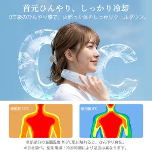 氷のう ボトル 氷嚢 2本セット 水筒型 携帯...の詳細画像5