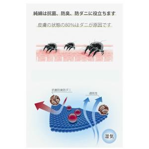 枕カバー 綿100% 2枚セット 35x50c...の詳細画像4