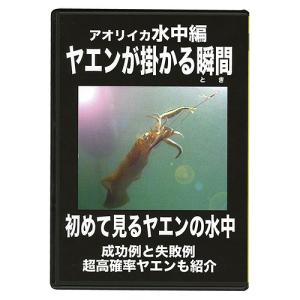 フィッシュマン アオリイカ水中編 ヤエンが掛かる瞬間  ハウツー 映像 動画 解説 説明 ガイド 情報 生態 釣り方 アオリイカ イカ釣り