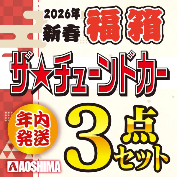 お買い得！2026年新春【1/24 ザ☆チューンドカー3点セット福箱】　年内発送／同梱不可　プラモデ...