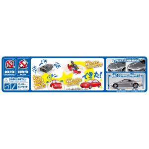 アオシマ 楽プラ スナップキット No.19-...の詳細画像4