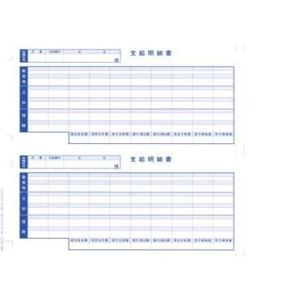 6101B 単票支給明細書　少量パック