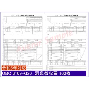 6109-G20 単票源泉徴収票（支払報告書なし）